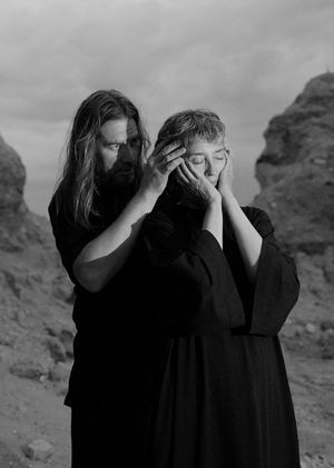 Приемы, с помощью которых создается чувство патетики в работах Провмыза