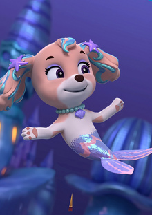 Заключение