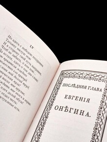 Обложки романа в&nbsp;стихах А.&nbsp;С.&nbsp;Пушкина «Евгений Онегин»