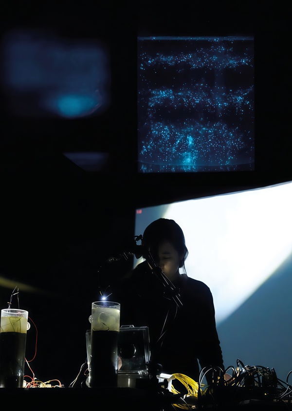 Интер-царство: органические материалы как медиаторы между мирами