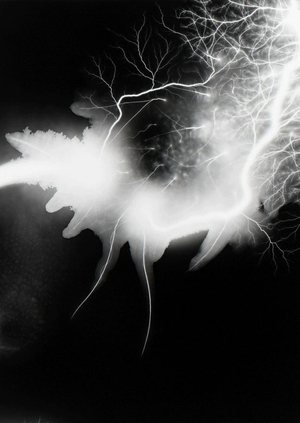 Движение и покой в композиции