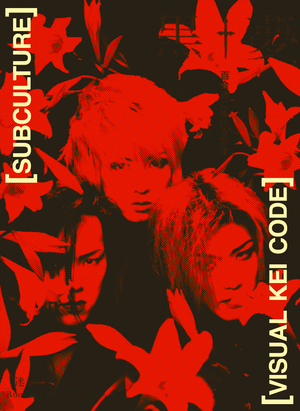 Визуальный код visual kei субкультуры