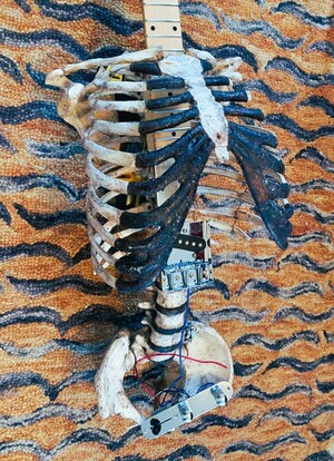 Гремящие кости. Использование кости для создания музыкальных инструментов