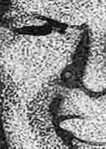 Анализ образов «взломанного телевидения» в нарративах криппипасты