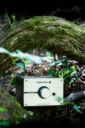 Смешение природных и человеческих звуков как форма звуковой экологии