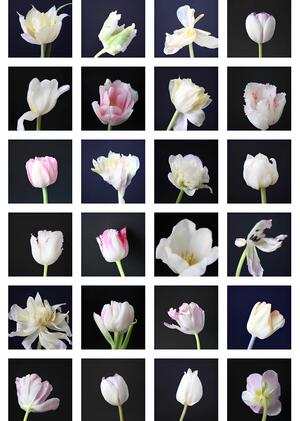 Материальность медиа в цифровую эпоху