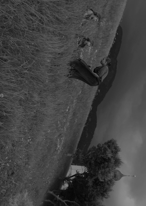 Киноимпрессионизм в современности: творчество Т. Малика