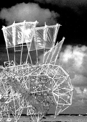 Прекрасное и возвышенное в работах Тео Янсена