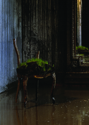 визуальное искусство в постантропоцентрической перспективе