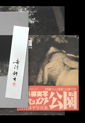 Эволюция визуального языка японских книжных обложек