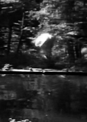 Замедление как эстетика в видеоарте