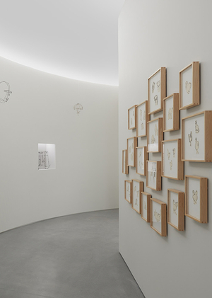  «Сохраняя наследие»: визуальные стратегии в галерейной практике﻿