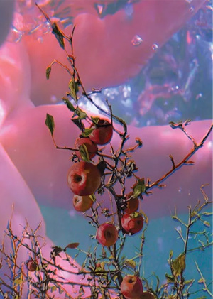 Пипилотти Рист: чувственная телесность