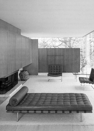 «Жилой минимализм» Мис ван дер Роэ, Людвига Хильберсаймера и Ричарда Нойтры