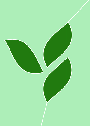 Анализ компании Herbalife