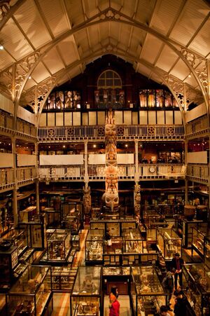 Репрезентация искусства через призму деколонизации Pitt River Museum