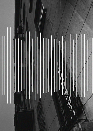 Полевая запись прогулки