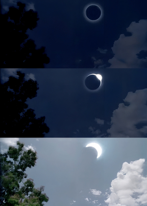 Созерцание: визуальные приёмы медитативного кино Апичатпонга 