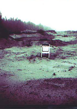 Метафизическое в визуальном языке группы «Аквариум»