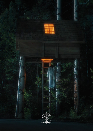 Анализ визуального нарратива фильма «Реинкарнация» (2018)