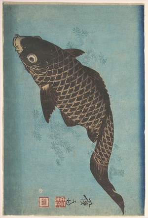 Карпы Кои в эпоху Эдо 