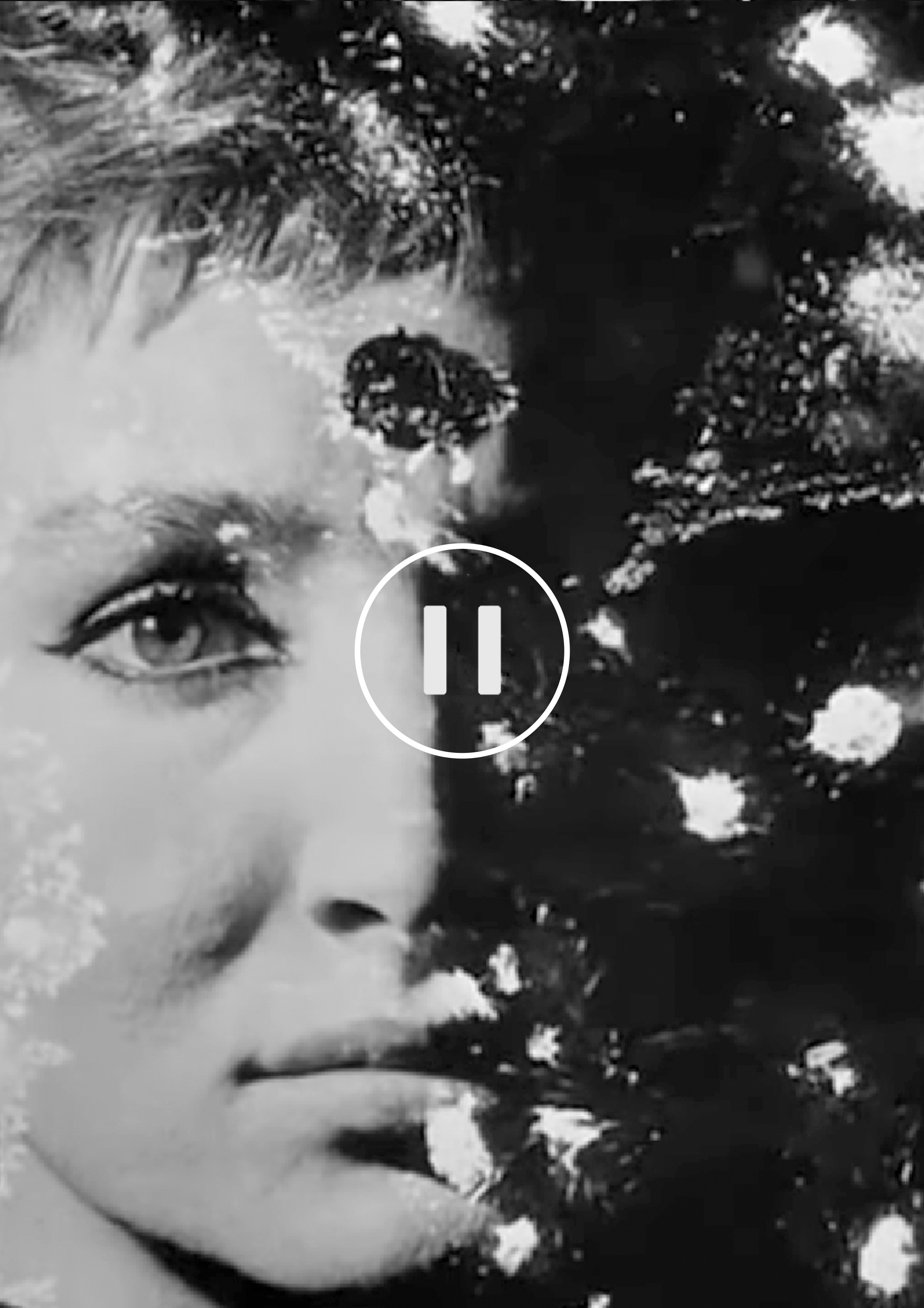 Статика и стоп-кадр в экспериментальном кинематографе