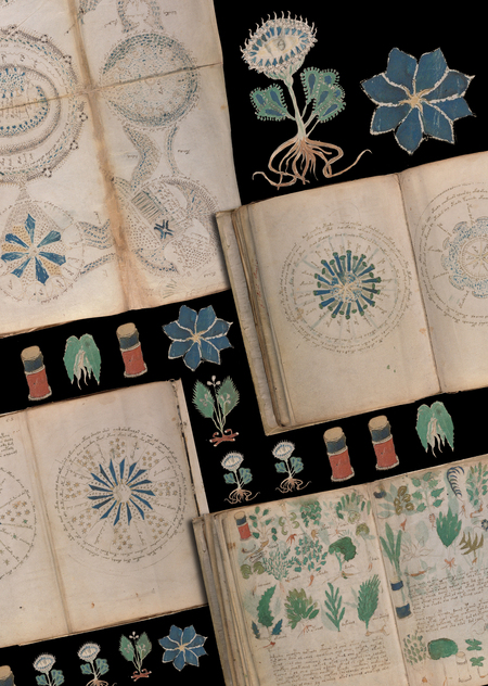 Манускрипт Войнича как дизайн-система