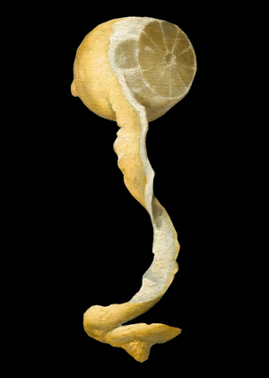 Символика голландского натюрморта