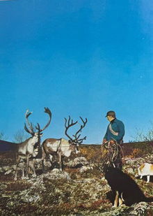 Человек в&nbsp;природе как образ сознания в&nbsp;фотокнигах Финляндии 1970-х.