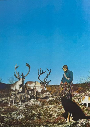 Человек в природе как образ сознания в фотокнигах Финляндии 1970-х.