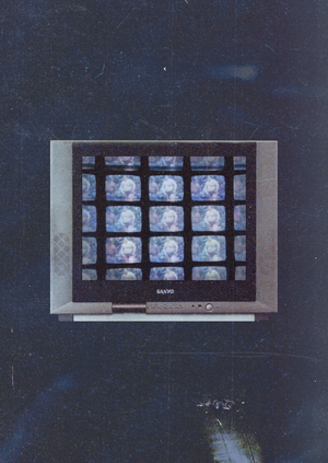 Экран в экране: слои изображения в документальном кино