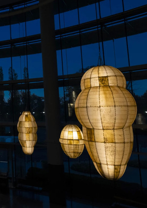 Живое как соавтор: межвидовое сотрудничество в современном искусстве