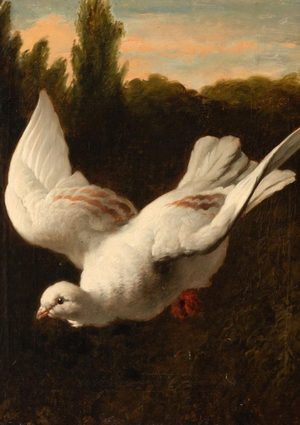 Образ птицы как символ свободы в живописи XVII-XVIII веков