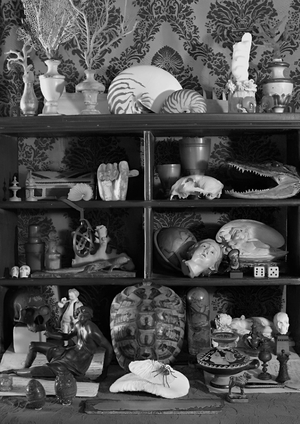 CANCEL TIMELINE CULTURE