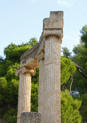 Древние и древесные: как греки вдохновлялись растительностью вокруг