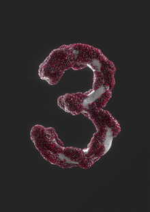 3. Практическая часть