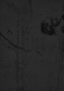 Заключение