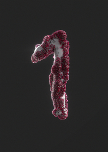 1. Теоретическая часть