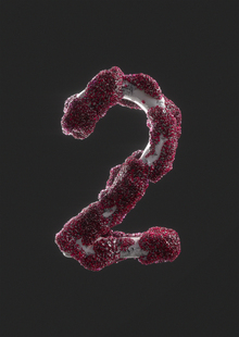 2. Методическая часть