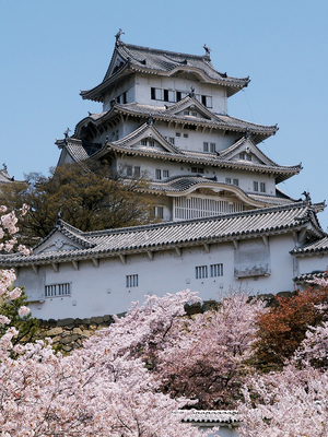 Эволюция японской архитектуры III-XVI вв.