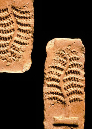 Принципы визуальной организации печатей древней Хараппской цивилизации