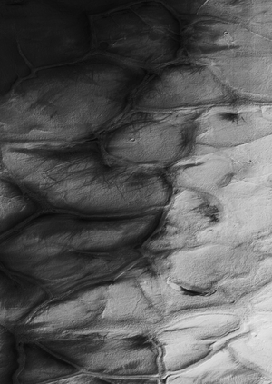 Гаптический образ: тактильность как язык фотографии