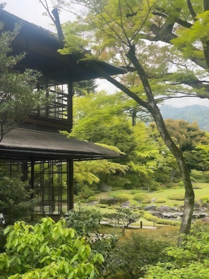 Китай и Япония: философия сада в визуальном сравнении