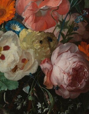 Эволюция образа растения в европейском искусстве XIV–XVIII веков