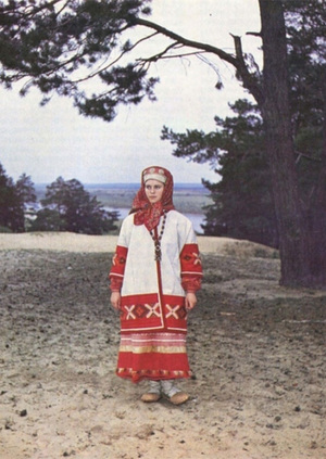 Орнамент русского народного костюма как исторический источник