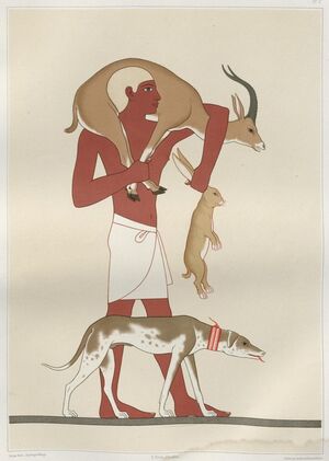 Эволюция образа собаки в живописи Древнего Египта.