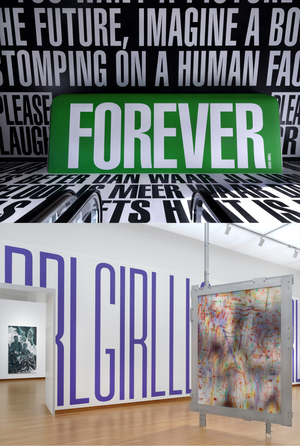 Особенности перманентной коллекции музея Стедлейк с 2017 по 2025