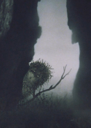 Образ леса в советской анимации 1970–1980-х годов