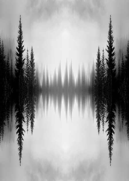 Социальная функция звука: акустические сообщества в повседневной жизни