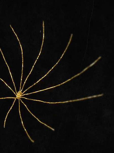 Минимализм в современной российской авторской анимации